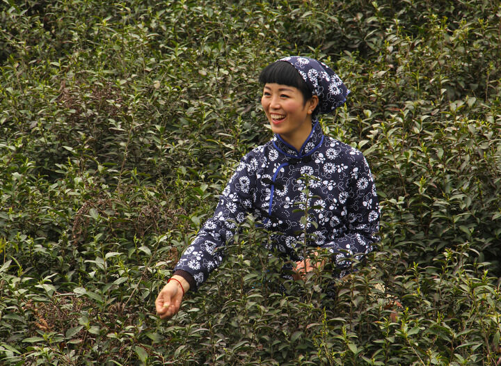樱花谷热门5